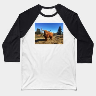 Scottish Highland Cattle Cow 2389 Baseball T-Shirt